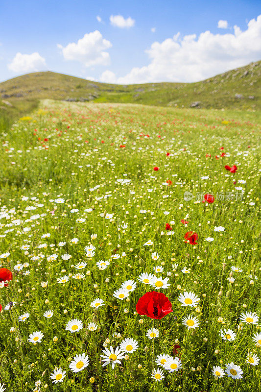 Campo Imperatore草地，意大利Abruzzi